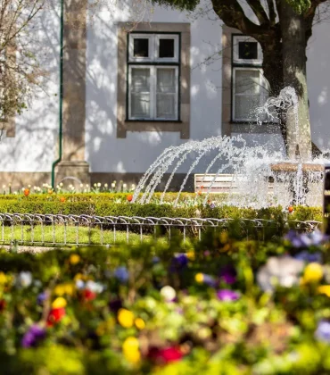 Os Encantos Naturais e Eventos de Viseu